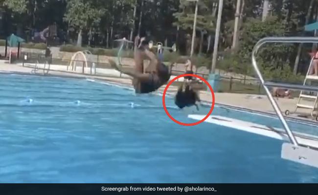 लड़की ने पूल में मारी ऐसी गुलाटी, हवा में उड़ गए उसके नकली बाल, हंस-हंसकर लोट-पोट हुए लोग - देखें Video