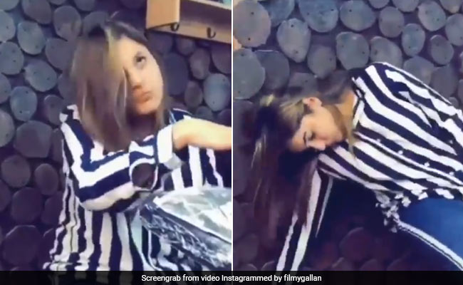 शहनाज गिल मजे से बनवा रही थीं टैटू, तभी लग गया करंट और बेहोश होकर गिर पड़ीं एक्ट्रेस- Viral हुआ Video