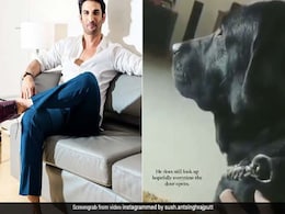 सुशांत सिंह राजपूत का आज भी इंतजार करता है डॉगी फज, भांजी ने Video शेयर कर कहा- जब भी दरवाजा खुलता है... सुशांत सिंह राजपूत का आज भी इंतजार करता है डॉगी फज, भांजी ने Video शेयर कर कहा- जब भी दरवाजा खुलता है...