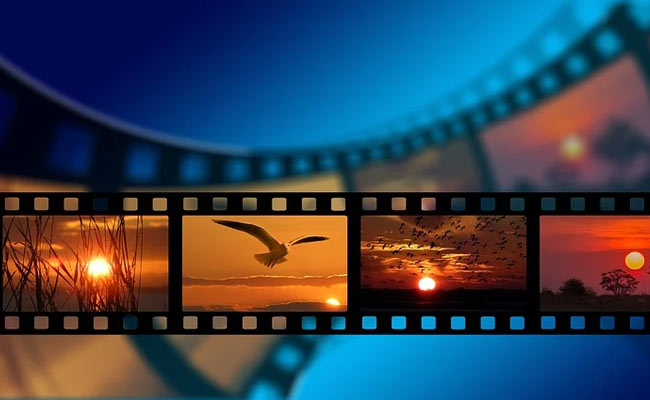 World Photography Day 2020: Know All About The Day And Capture Moments