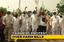 Why Farmers In Haryana, Punjab Are Protesting Against New Farm Bills Why Farmers In Haryana, Punjab Are Protesting Against New Farm Bills