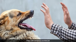 WHO Validates Chile As First South American Country To Eliminate Dog-Transmitted Rabies