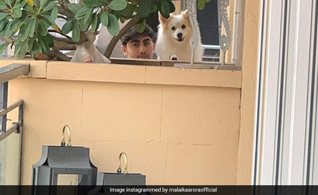 कोरोना पॉजिटिव होने के बाद बेटे से नहीं मिल पा रही हैं मलाइका अरोड़ा, यूं बयां किया दर्द