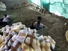 Bengaluru Police Seize 1,300 Kg Of Marijuana Amid Drugs Probe Bengaluru Police Seize 1,300 Kg Of Marijuana Amid Drugs Probe
