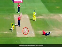 England Vs Australia: रन चुरा रहे थे स्टीव स्मिथ, कप्तान मॉर्गन ने मारी स्टम्प्स पर गेंद और फिर... देखें Video England Vs Australia: रन चुरा रहे थे स्टीव स्मिथ, कप्तान मॉर्गन ने मारी स्टम्प्स पर गेंद और फिर... देखें Video