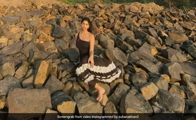 सुहाना खान आईलैंड के बीच पत्थरों पर लेटकर देने लगीं पोज, शाहरुख की बिटिया का Video हुआ वायरल