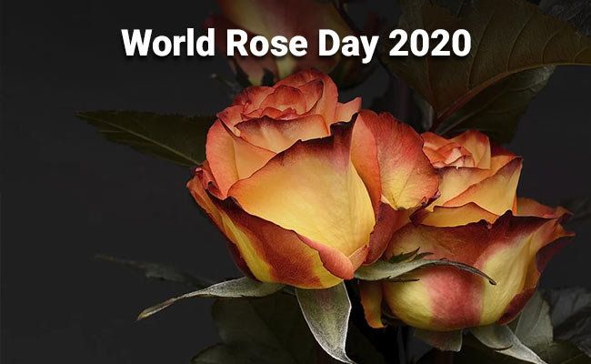World Rose Day 2020: Changing The Way We Look At Cancer