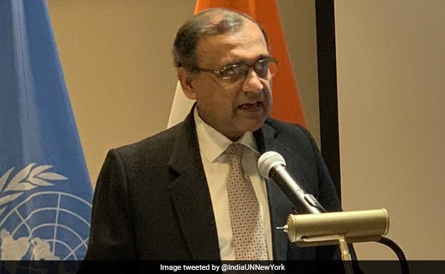 India Will Promote Democracy, Human Rights At United Nations: Envoy