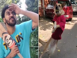 गली क्रिकेट खेल रहे थे लड़के, लगाया शॉट तो कुत्ते ने हवा में उड़कर पकड़ा जबरदस्त कैच - देखें Viral Video गली क्रिकेट खेल रहे थे लड़के, लगाया शॉट तो कुत्ते ने हवा में उड़कर पकड़ा जबरदस्त कैच - देखें Viral Video