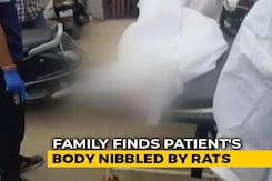 Family Alleges Rats Bit Body Of Man Who Died Of Covid At Indore Hospital Family Alleges Rats Bit Body Of Man Who Died Of Covid At Indore Hospital