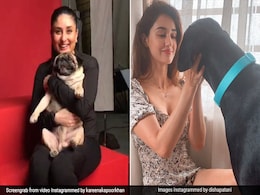 Kareena Kapoor And Disha Patani Are The Most "Pawfect" Dog Moms Ever Kareena Kapoor And Disha Patani Are The Most "Pawfect" Dog Moms Ever
