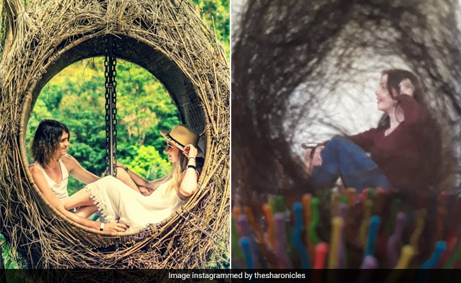 Travel Blogger Recreates Holiday Pics With Household Items. Results Are LOL
