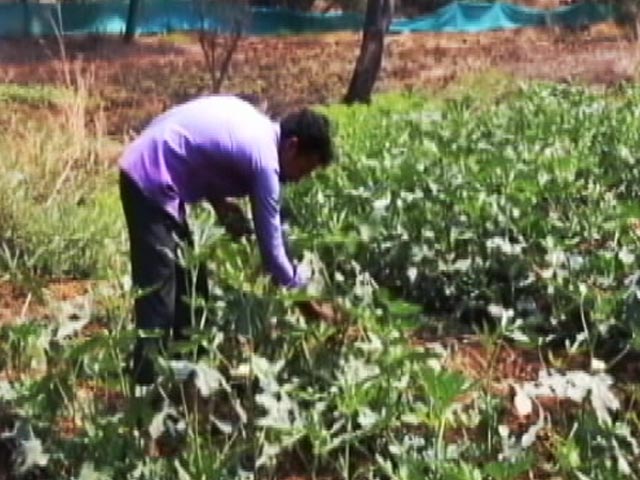 How Swades Is Making Reverse Migration A Viable Option