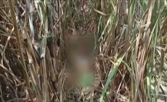 यूपी : लखीमपुर खीरी में तीन साल की बच्ची के रेप और हत्या का आरोपी पुलिस एनकाउंटर के बाद गिरफ्तार