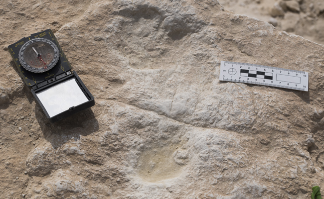 Human Footprints Dating Back 120,000 Years Found In Saudi Arabia