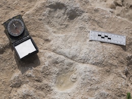 Human Footprints Dating Back 120,000 Years Found In Saudi Arabia Human Footprints Dating Back 120,000 Years Found In Saudi Arabia