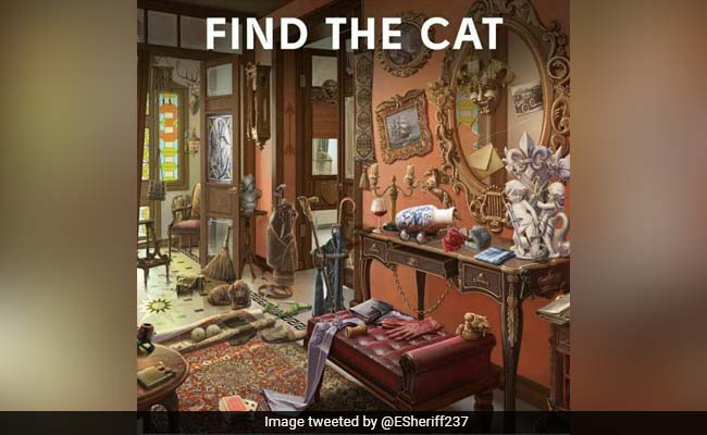 There's A Cat Hiding In Plain Sight In This Picture. Can You Find It?