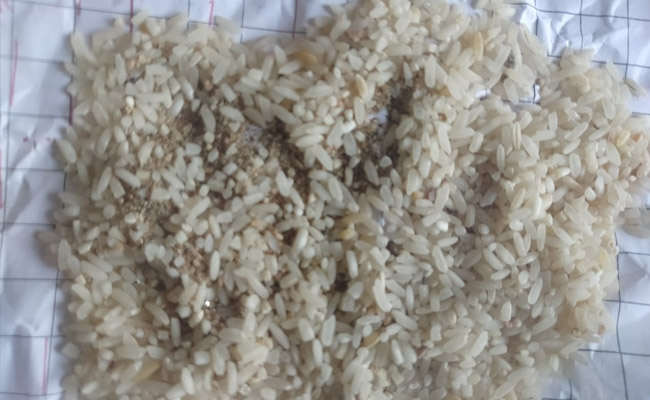 NDTV की खबर का असर : सरकारी राशन में बंटे खराब चावलों पर PMO ने राज्य सरकार से रिपोर्ट तलब की