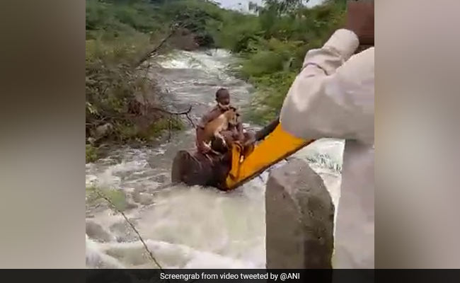 Video: Telangana Cop Rescues Dog Stuck In Bushes After Heavy Rains