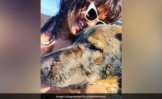 The Internet Loves Priyanka Chopra's Pic With Her "Lil Big Boy"