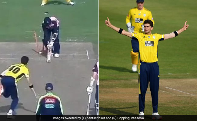 शाहीन अफरीदी का टी-20 में कमाल, लगातार 4 गेंद चटकाए 4 विकेट, बनाया रिकॉर्ड..देखें Video