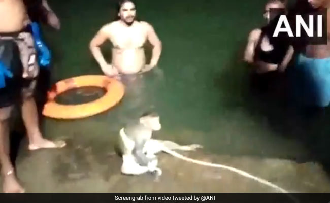 Watch: Miracle Rescue Of Baby Monkey Trapped In A Reservoir In Odisha