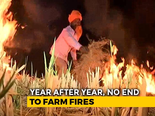 43 Cases of Stubble Burning in Punjab