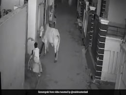 Viral Video: दादी की जान बचाने के लिए मरखने सांड़ से भिड़ गया बच्चा, तो 'शूटर दादी' का यूं आया रिएक्शन Viral Video: दादी की जान बचाने के लिए मरखने सांड़ से भिड़ गया बच्चा, तो 'शूटर दादी' का यूं आया रिएक्शन
