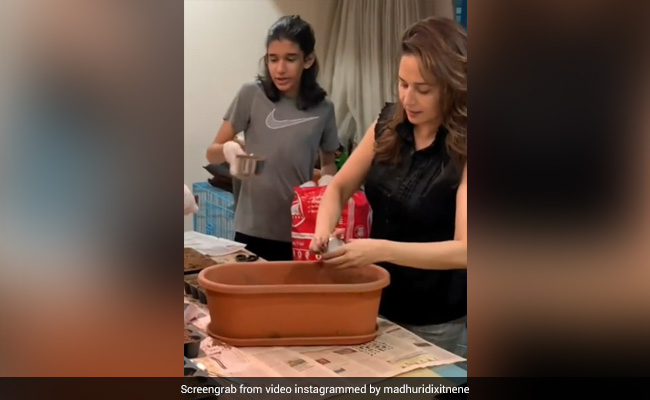 Madhuri Dixit Sets Up A Kitchen Garden With Her Family. See Her Post