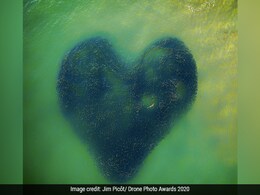 Shark In Heart-Shaped School Of Fish And Other Winners From Drone Awards 2020 Shark In Heart-Shaped School Of Fish And Other Winners From Drone Awards 2020