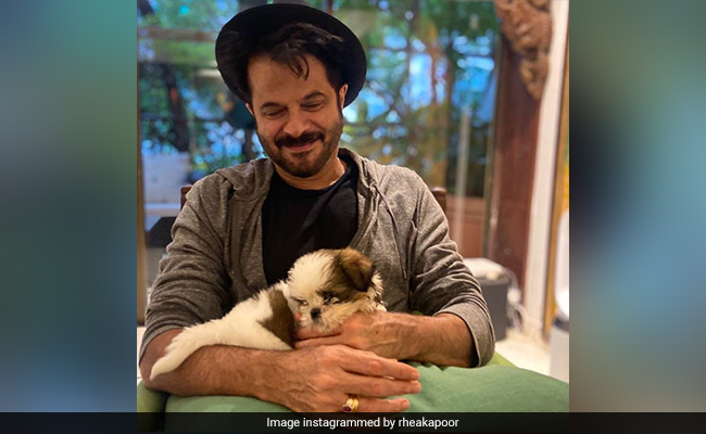 Meet Russell Crowe Kapoor - The Latest Addition To Anil Kapoor's Family