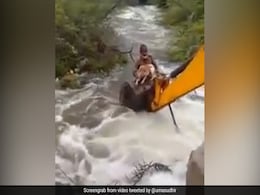 Watch: Telangana Home Guard Risks Life, Saves Dog Stuck In Flooded Stream Watch: Telangana Home Guard Risks Life, Saves Dog Stuck In Flooded Stream