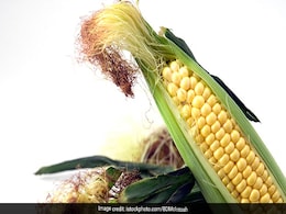 What Are The Benefits Of Corn Silk? Read On To Find Out What Are The Benefits Of Corn Silk? Read On To Find Out