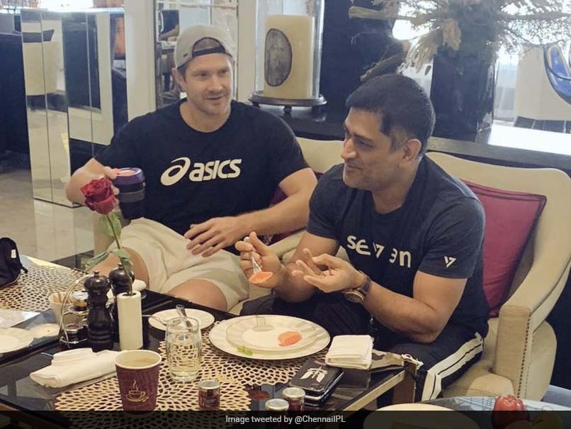 IPL 2020: "That Smile Brings Back Confidence In CSK Fans": MS Dhoni, Shane Watson's Photo Sends Calming Message