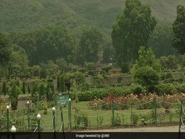 J&K's Mughal Garden To Be Included Into UNESCO World Heritage List J&K's Mughal Garden To Be Included Into UNESCO World Heritage List