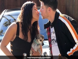 "Happy Birthday To Our Oldest": Nick Jonas, Priyanka Chopra Celebrate A Special Day "Happy Birthday To Our Oldest": Nick Jonas, Priyanka Chopra Celebrate A Special Day