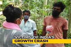 Job Loss In Kerala Tourism Forces People To Work For Daily Wages Job Loss In Kerala Tourism Forces People To Work For Daily Wages