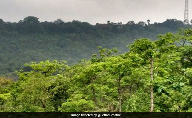 Mumbai Metro Permitted To Pursue Plea On Felling 84 Trees In Aarey Colony