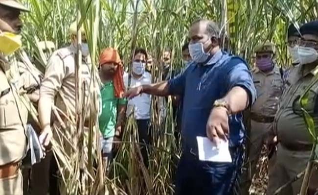 लखीमपुर खीरी में 3 साल की बच्ची के साथ रेप के बाद हत्या तो भड़के रितेश देशमुख, बोले- शर्म से सिर झुक गया और...