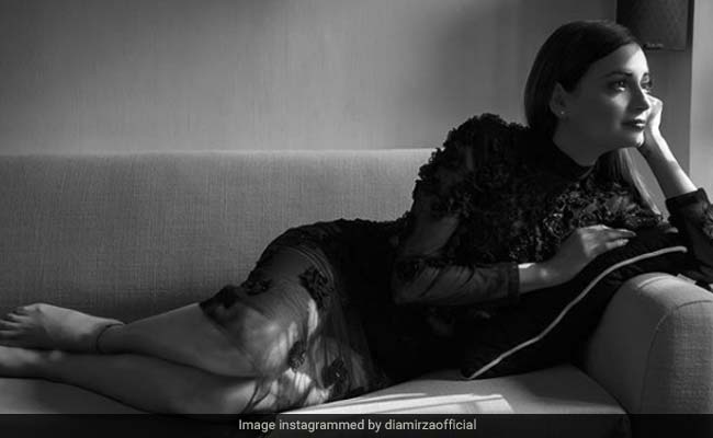 Dia Mirza Defines Elegance In A Stunning Black Floral Dress