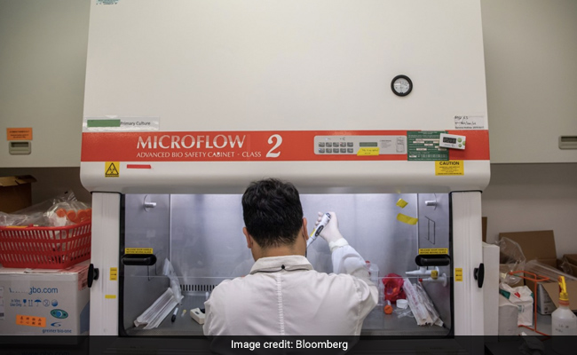 Even With Covid-19 Cure, The Body Is Still The Best Virus-Killer