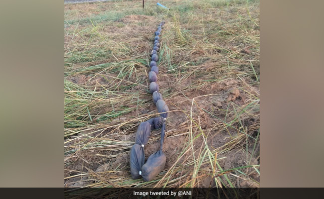 Large Quantity Of Narcotics Seized By BSF Near Border Fence In Jammu