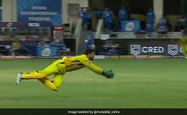 IPl 2020 CSK vs DC MS Dhoni takes an excellent diving catch Watch Video IPl 2020 CSK vs DC MS Dhoni takes an excellent diving catch Watch Video
