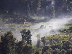 5 Soldiers Killed In Action In Pak Shelling, 6 Civilians Dead