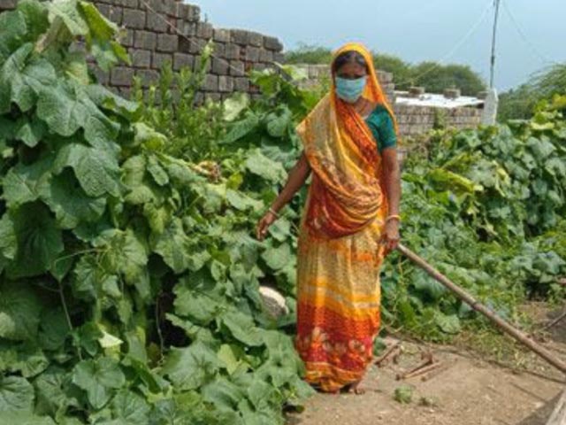 Women in Gujarat Grow Kitchen Gardens To Ensure Food Security During COVID-19 Pandemic
