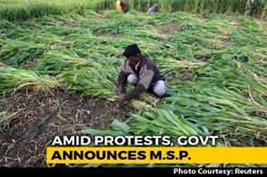Minimum Support Price For Crops Raised Amid Row Over Farm Bills Minimum Support Price For Crops Raised Amid Row Over Farm Bills