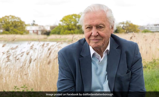 Sir David Attenborough Broke This Record When He Joined Instagram