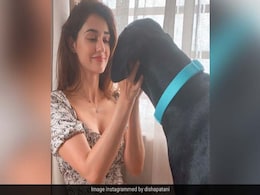 Guess Who Loves This Pic Of Disha Patani And Her Pet? Tiger Shroff And Sister Krishna Guess Who Loves This Pic Of Disha Patani And Her Pet? Tiger Shroff And Sister Krishna