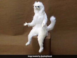 Happy Teachers' Day 2020: These Memes Will Take You On A Trip Down Memory Lane Happy Teachers' Day 2020: These Memes Will Take You On A Trip Down Memory Lane