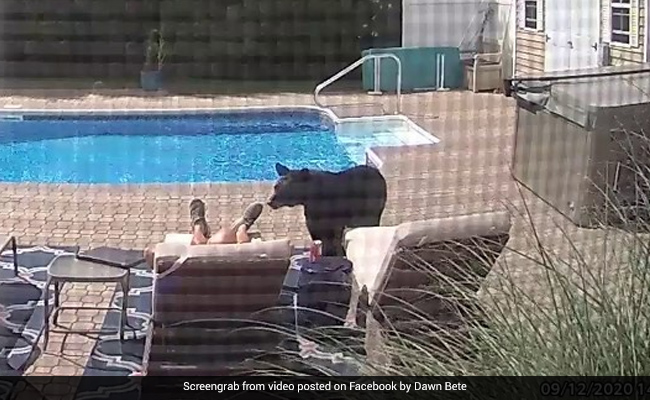 Sleeping Man Startled Awake By Bear Nudging His Foot. Watch